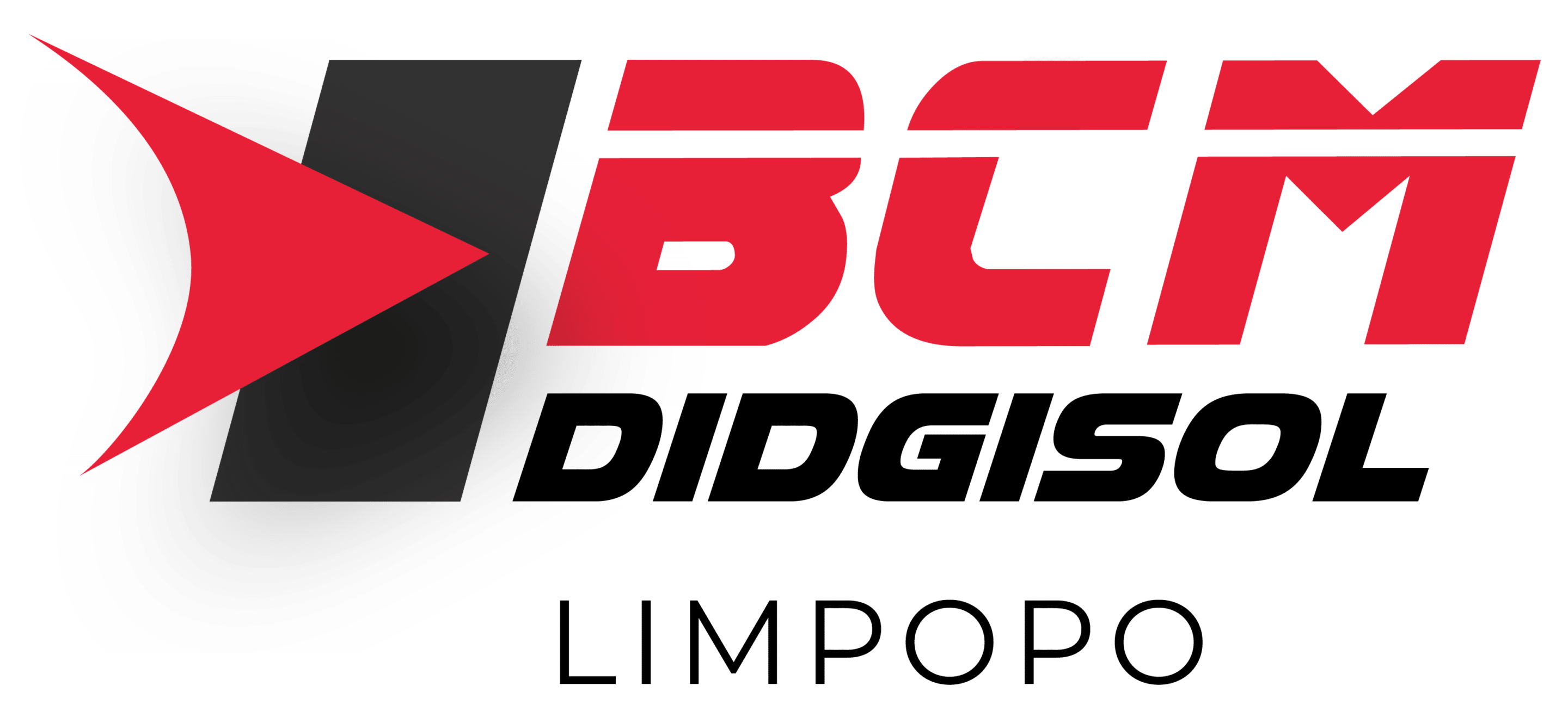 BCM Logo_BCM Didgisol Area